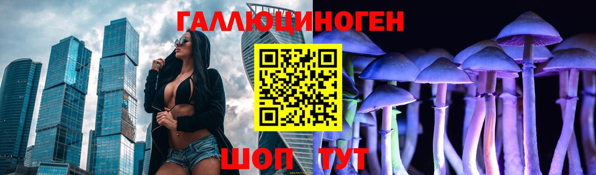 Галлюциногенные грибы Psilocybe Соликамск